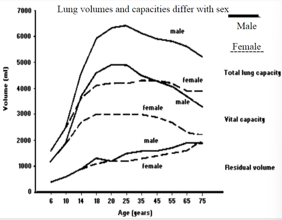 Lung volumes and capacities differ with sex