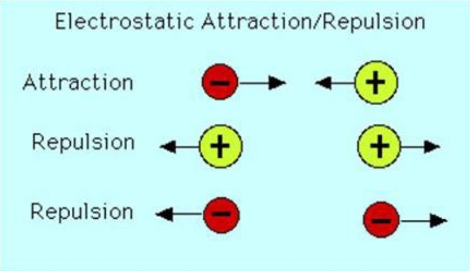 <p class="is-empty is-editor-empty has-focus"></p><p class="is-empty is-editor-empty has-focus">-a force is something that affects the motion or shape of an object</p><p class="is-empty is-editor-empty has-focus">-some forces can act at a distance, without any contact between bodies, due to the action of a field<br></p>