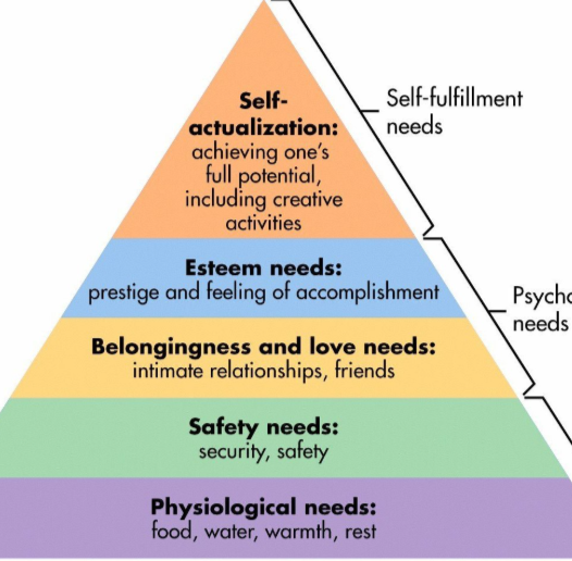 <ul><li><p>Self-Actualization</p></li><li><p>Esteem Needs</p></li><li><p>Belongingness &amp; Love Needs</p></li><li><p>Safety Needs</p></li><li><p>Physiological Needs</p></li></ul><p></p>