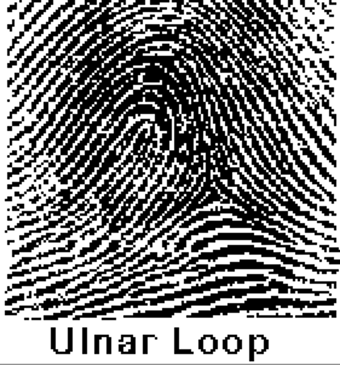 <p>Loops.</p>