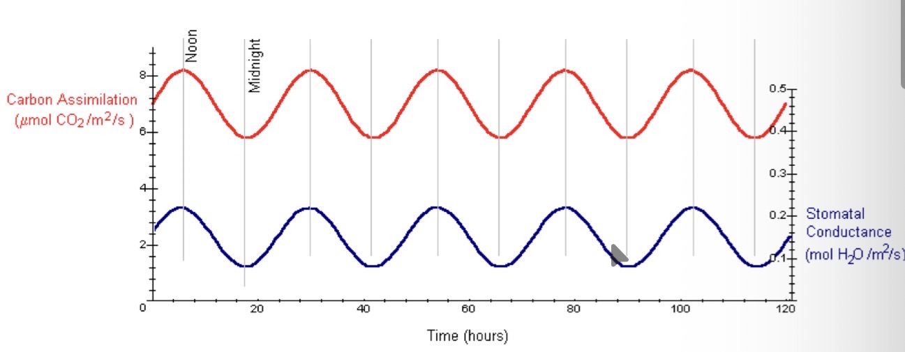 <p>What can be said from this graph</p>