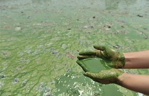 as nitrate & ammonium ions are very soluble, they do not remain in the soil for long & are quickly leached out, ending up in local rivers & lakes & causing eutrophication.
they are also expensive.