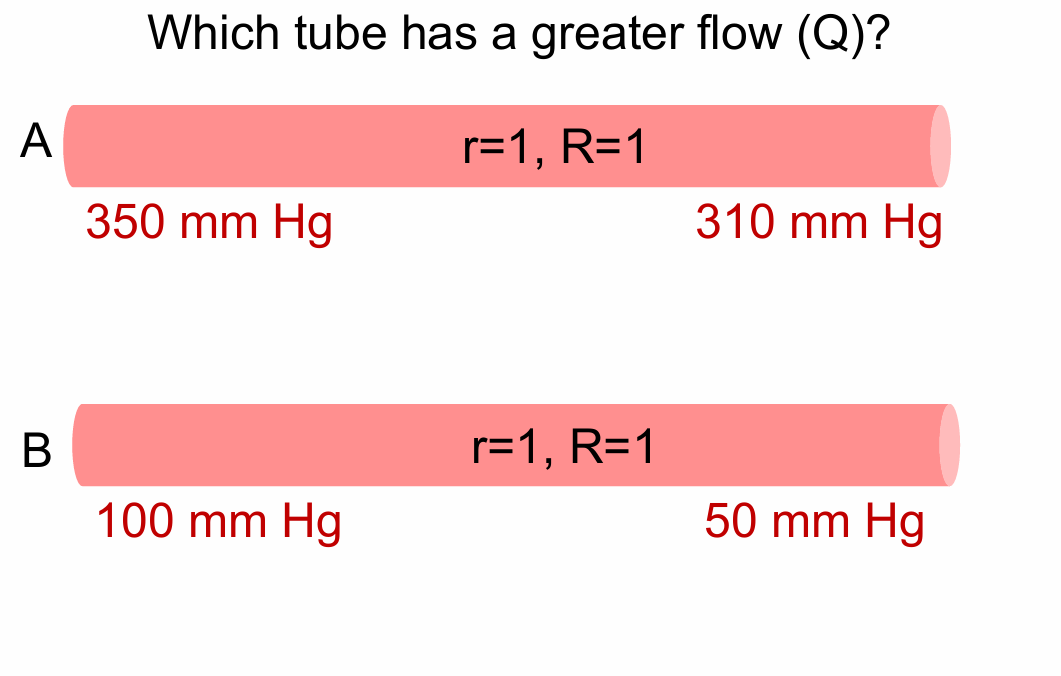 <p>Which tube has a greater flow (Q)?</p>