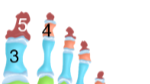 <p>Phalanges (toes)</p>