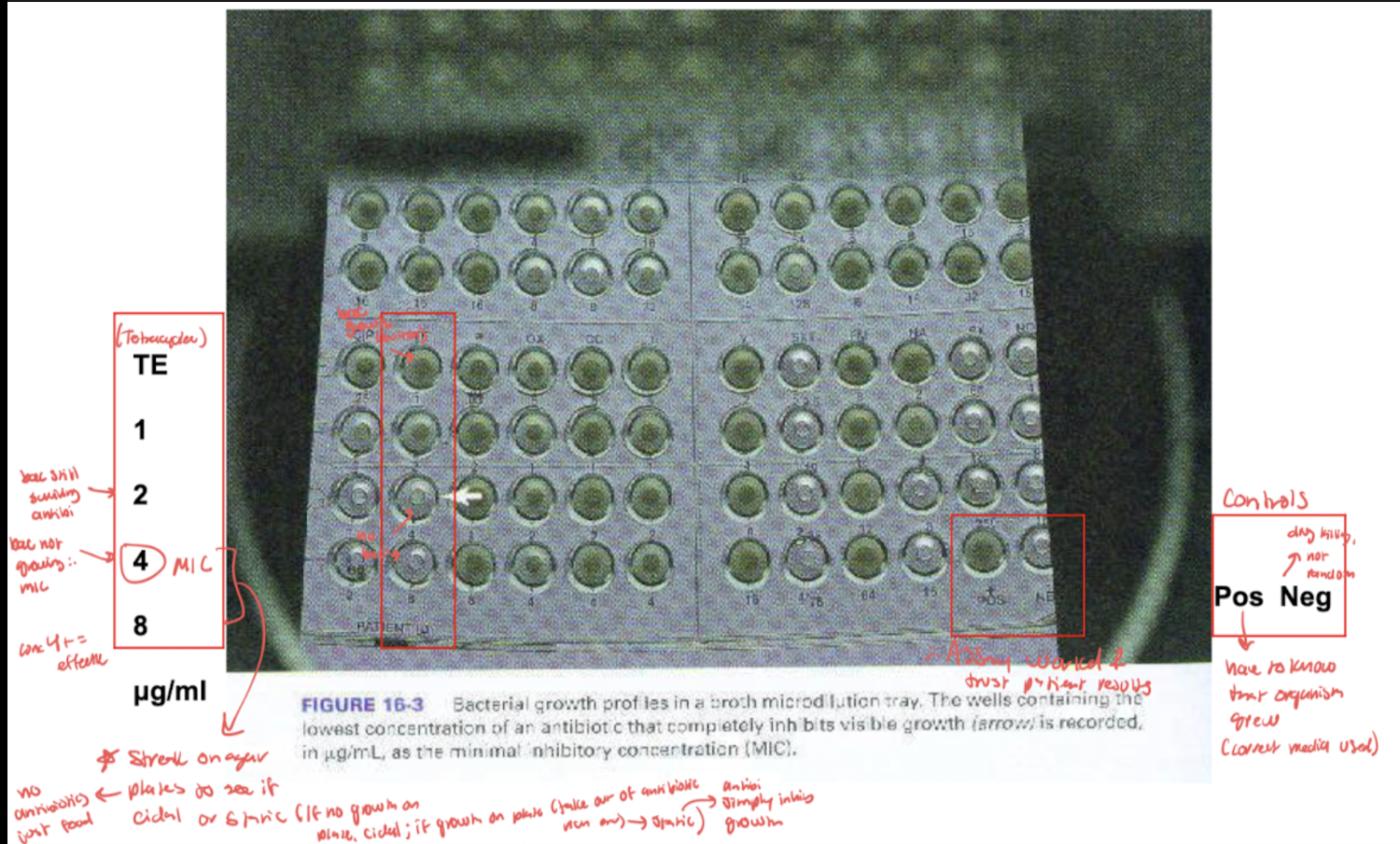 <p><span style="background-color: transparent;">MIC assessment (microplate method): evaluate and interpret test results/meaning</span></p>