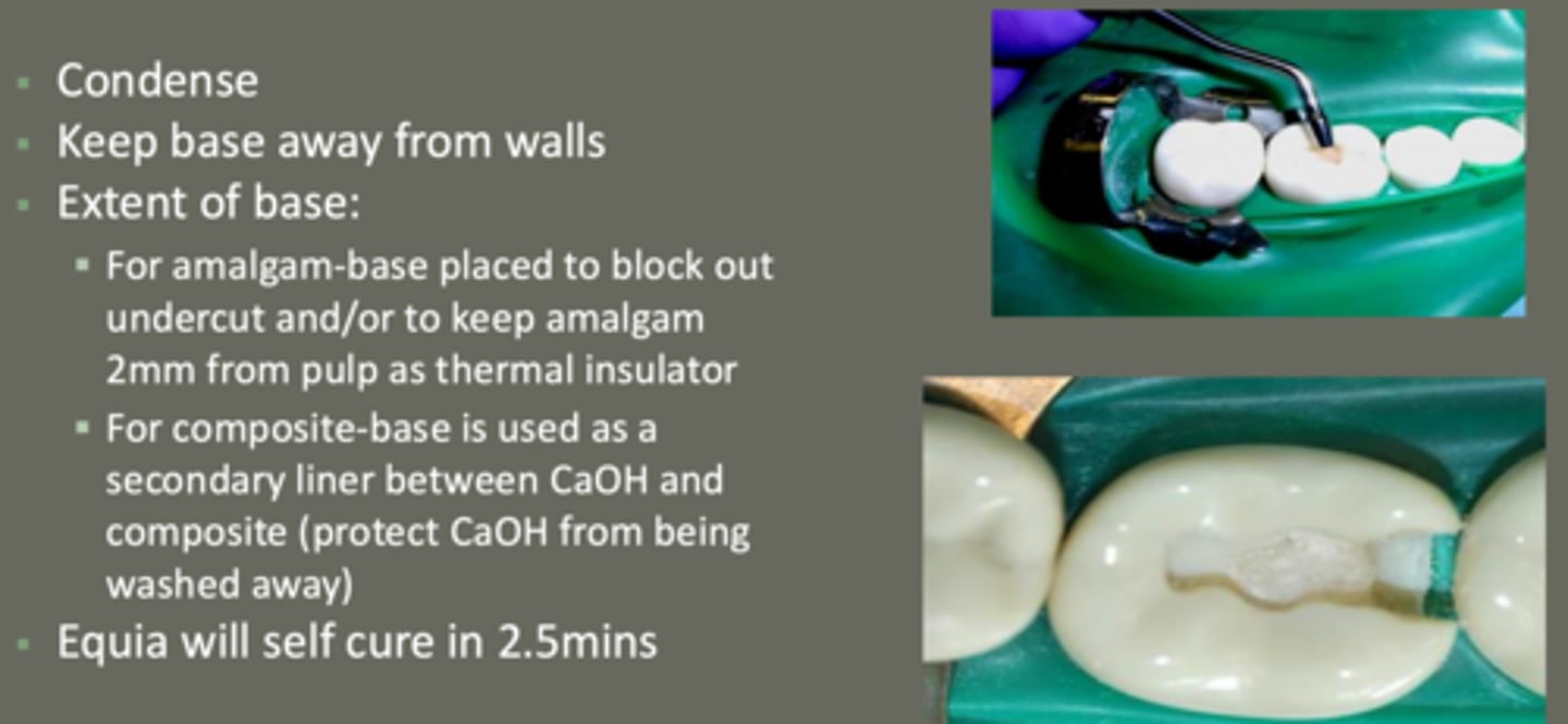 <p>- keep base away from walls</p><p>extent of base:</p><p>- amalgam: placed to block out undercuts &amp; to keep amalgam 2 mm from pulp as thermal insulator</p><p>-composite: used as secondary liner btwn CaOH and composite</p><p>(protect CaOH from being washed away)</p>