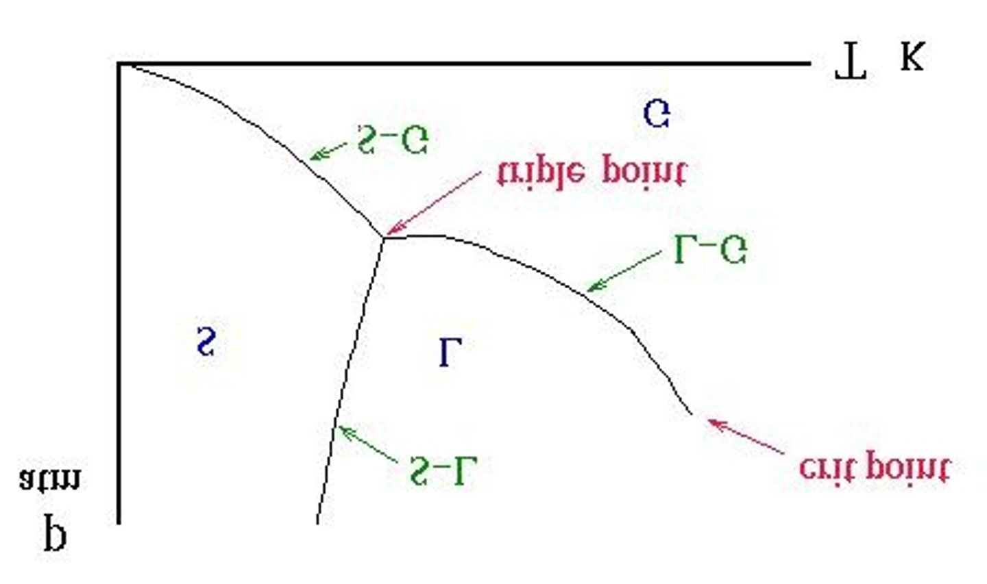 <p>The triple point is where solid, liquid, and gas phases coexist in equilibrium.</p>
