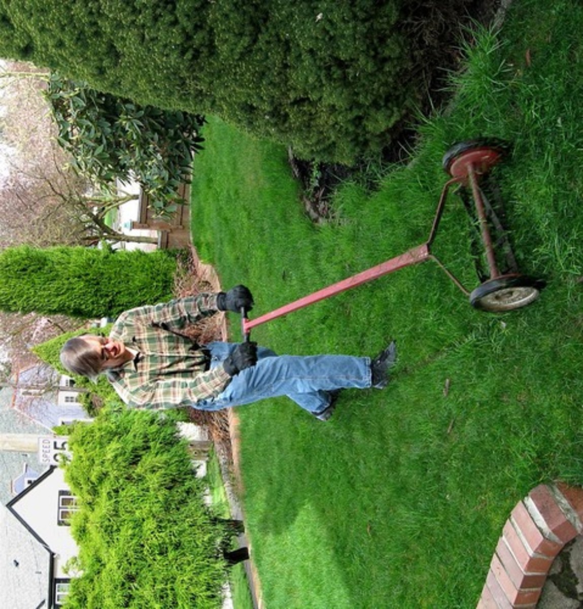 <p>to cut the grass</p>