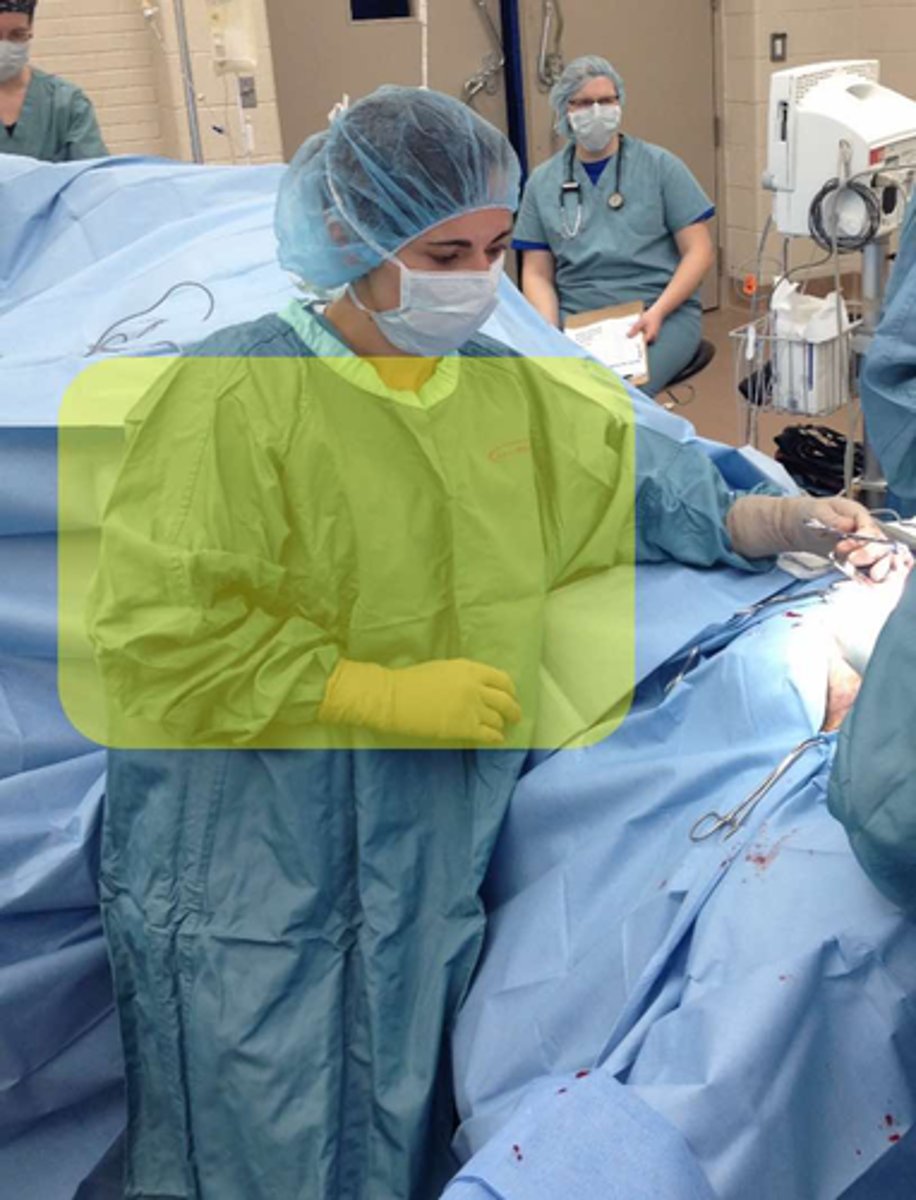 <p>What is demonstrated here?</p>