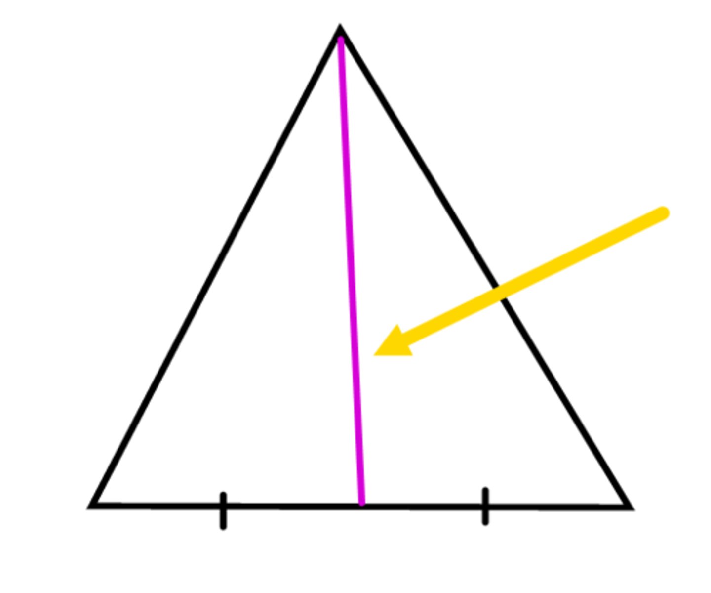 <p>A line in a triangle that goes from a vertex to the midpoint of the opposite side of a triangle.</p>