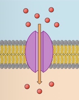 <p>What is this?</p>