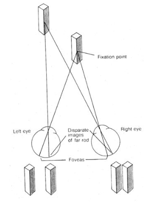 <p>(binocular cues)</p><ul><li><p>objects that are nearer or farther than the fixation point which indicates the distance of the object from the fixation point</p></li></ul>