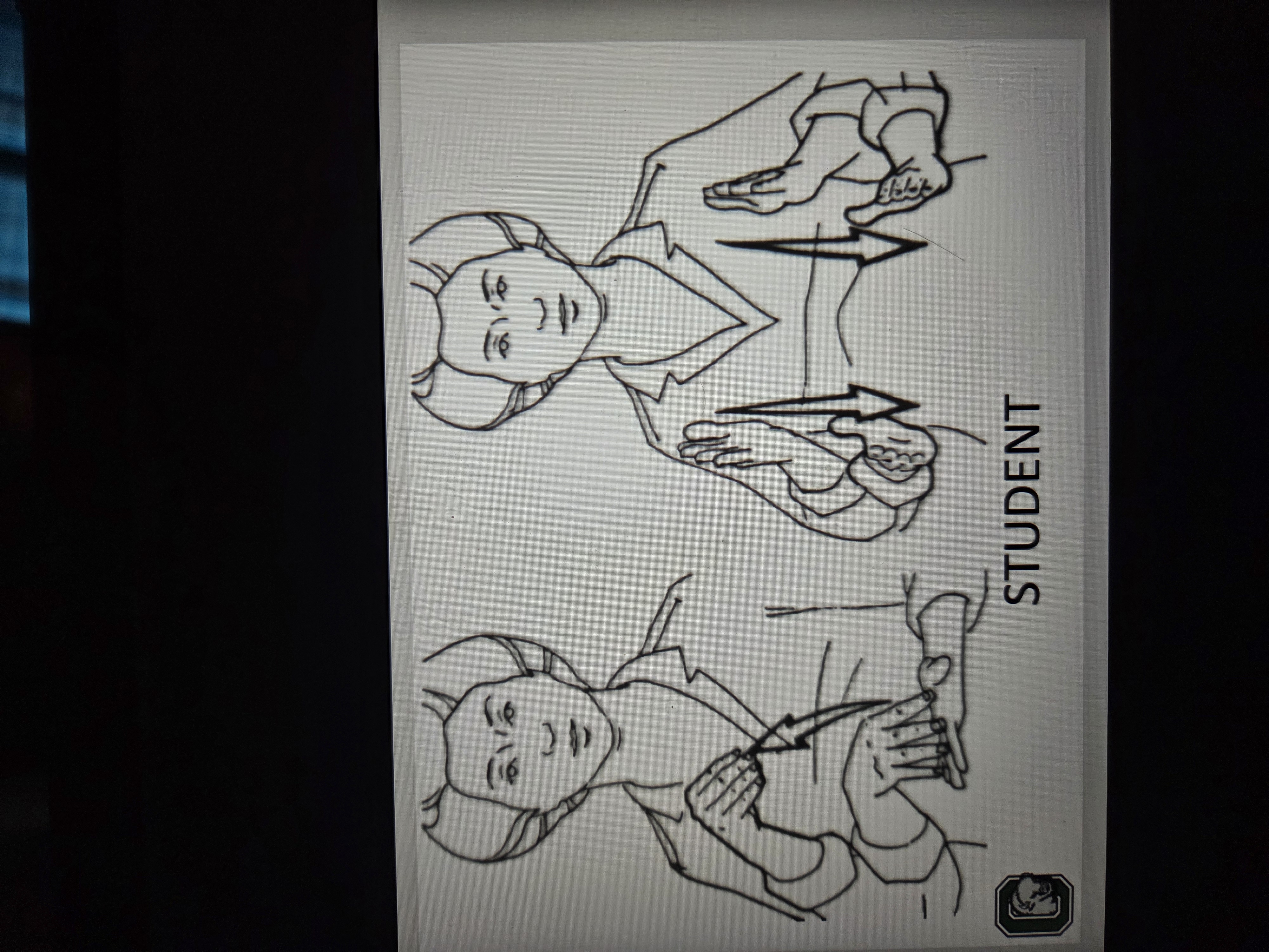 knowt flashcard image