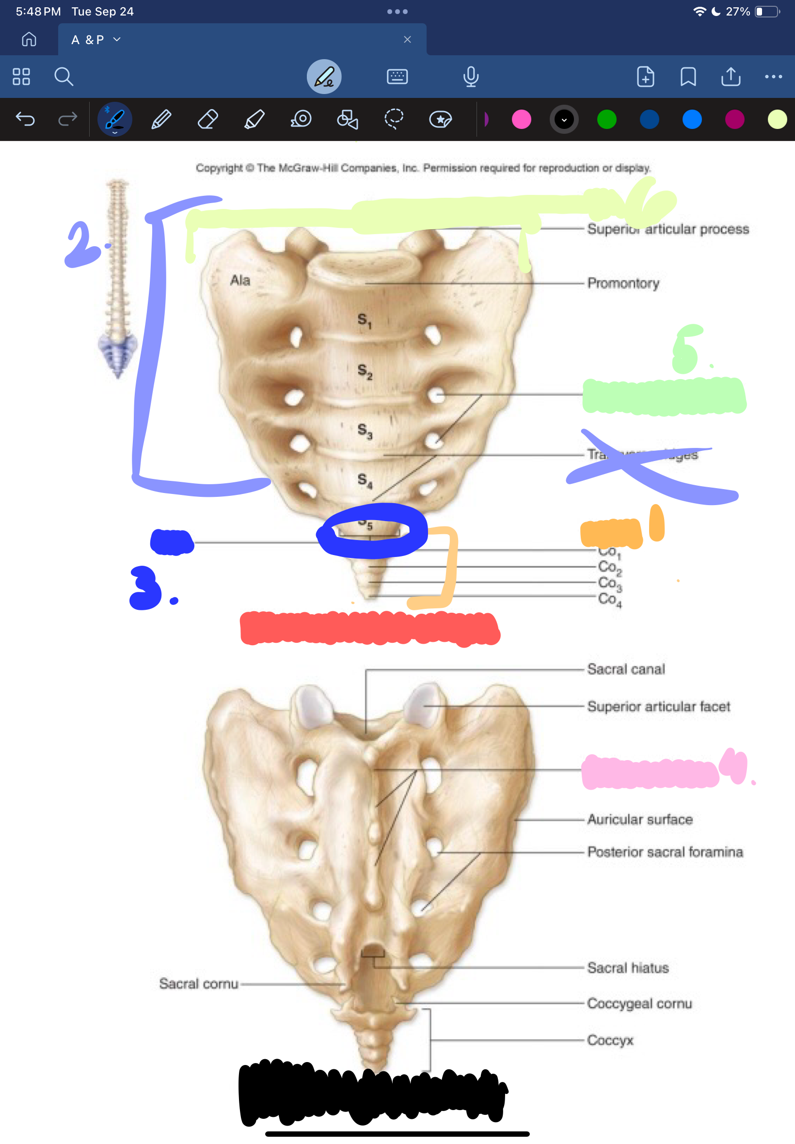<p>6.</p>