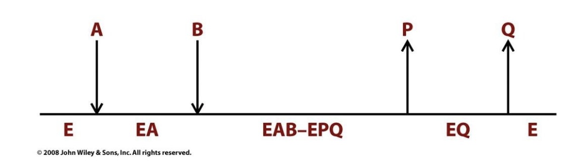 <ul><li><p>One substrate must bind first, then the second substrate binds.</p></li><li><p>After catalysis, the first product is released, then the second product.</p></li><li><p>Example: Lactate dehydrogenase (LDH)</p><ul><li><p>NADH binds first, then pyruvate → catalysis occurs → lactate is released, then NAD⁺ leaves.</p></li><li><p>Many NAD+ and NADP+ requiring dehydrogenases<span style="font-size: 16px; font-family: &quot;Times New Roman&quot;"> </span>follow an ordered bisubstrate mechanism.</p></li></ul></li></ul><p></p>