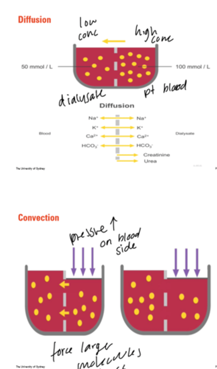 <p>diffusion and convection</p>