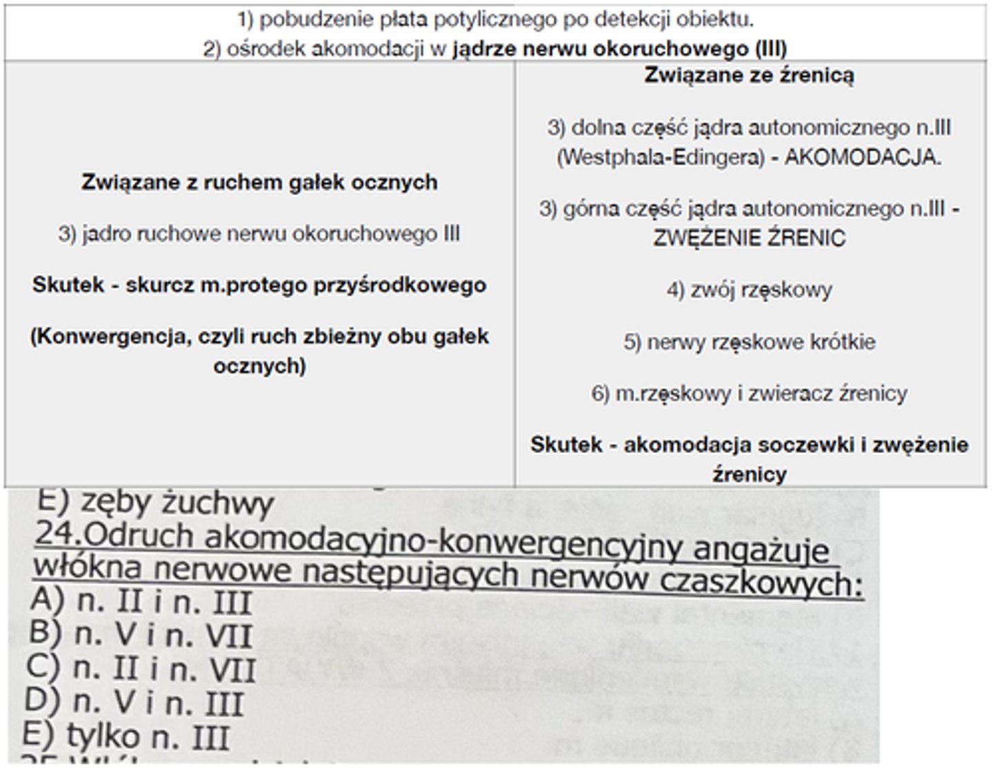 <p>24</p><p>Detekcja, czyli n. wzrokowy (i guess)</p>