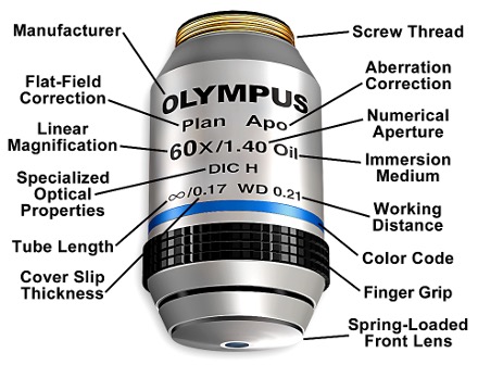 <p>Objective specifications </p>