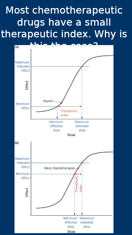 <p><span style="color: rgb(0, 0, 0);"><span>The</span><strong><span> therapeutic index</span></strong><span><br></span><span>• Difference between minimum effective dose and maximum tolerated</span><span><br></span><span>dose</span><span><br></span><span>• Larger the value, safer the drug</span></span></p>