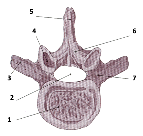 <p>Label 1-7</p>