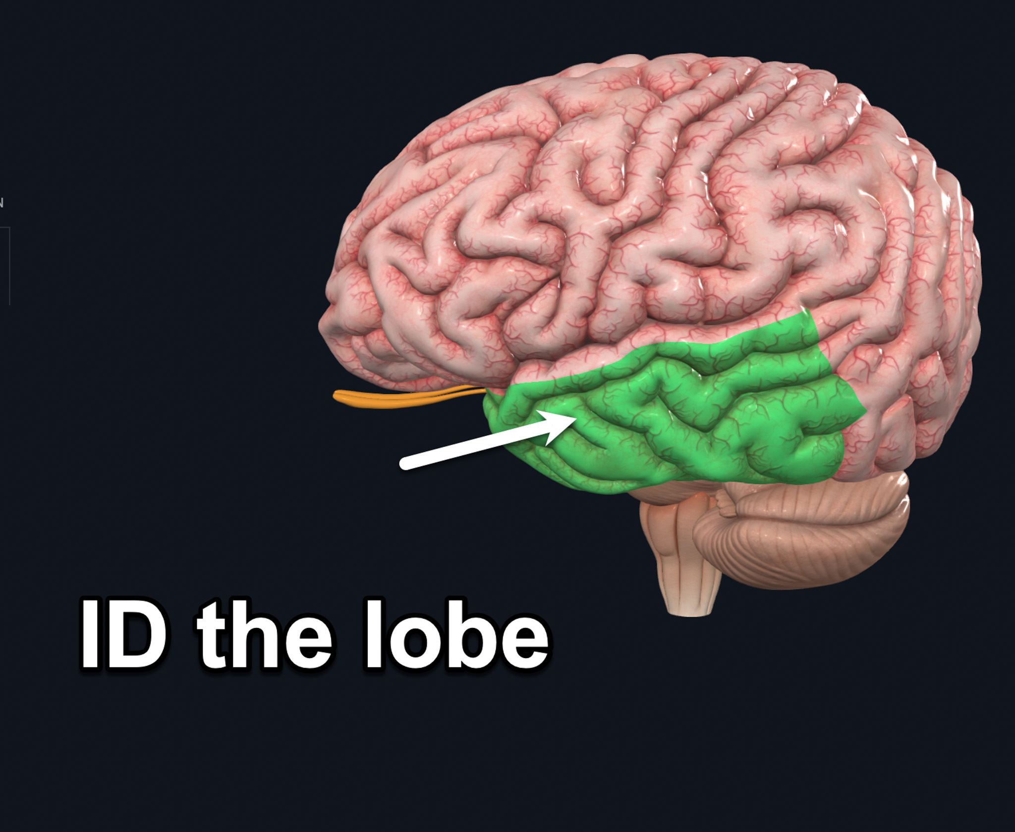 term image