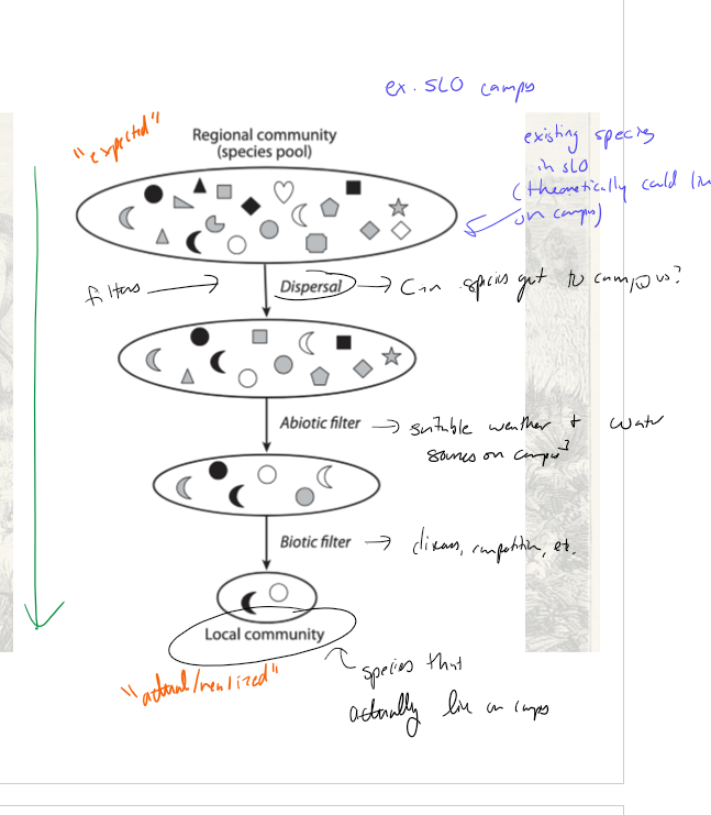 <p>What is the filter model and how does it work?</p>