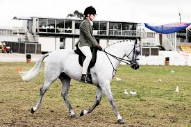 <p>the back of a horse; used especially when riding a horse.<br></p>