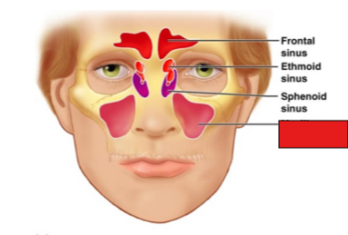 <p>fill in the red box:</p>