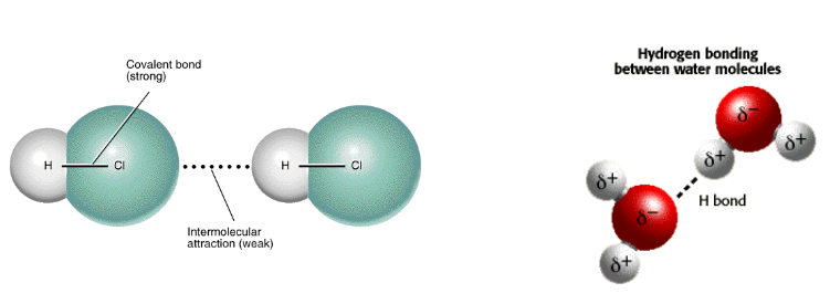 <ul><li><p>Intermolecular Forces: weak attractions between individual molecules</p></li><li><p>Weaker than covalent bonds (and easier to break)</p></li><li><p>Only forces that hold molecules together in the liquid and solid states</p></li><li><p>These forces are what gives covalent bonds their properties, not the covalent bond itself</p></li></ul>