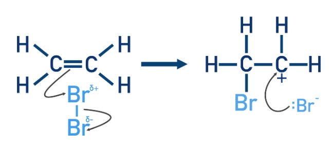 <p>Electrons from the Br-Br bond move to the partially negative bromine atom, <mark data-color="yellow">leaving a bromide ion with a lone pair of electrons</mark>.</p><p>This is an example of heterolytic bond fission.</p>