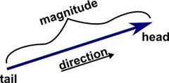 <p>a quantity that has magnitude and direction</p>