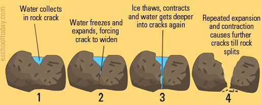 <p><span>Water enters cracks, freezes below 0°C, expands by 10%, and puts pressure on surrounding rocks. Thawing during the day and repeated freezing cause pieces of rock to break off (scree).</span></p>