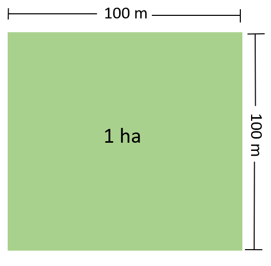 <p>hectare</p>