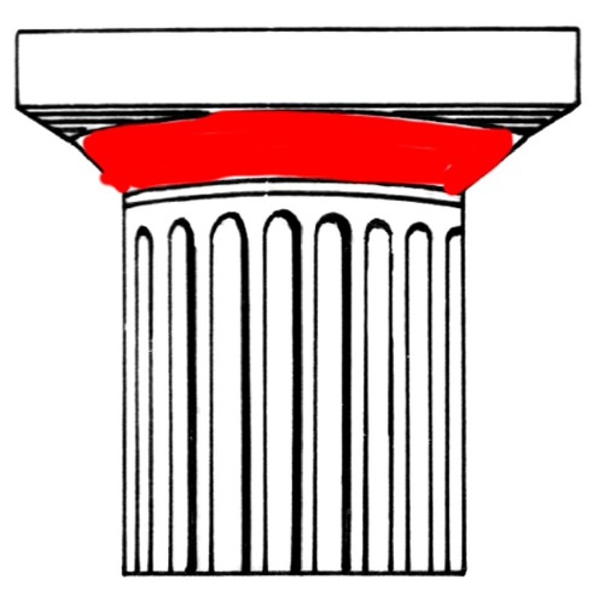 <p>Lower part of capital which varies in order</p>