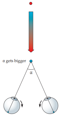 <p>ability of the two eyes to turn inward, often used in order to place the two images of a feature in the world on corresponding locations in the two retinal images (typically the fovea)</p><p>reduces the disparity of that feature to zero </p>