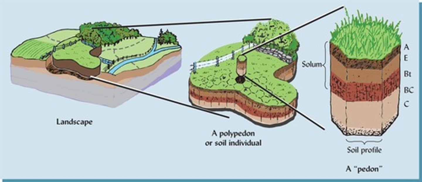 <p>The smallest sampling unit that displays the full range of properties characteristic of a particular soil.</p>