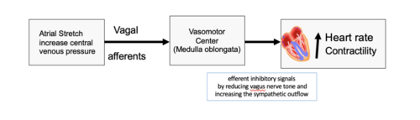 <p>The bainbridge reflex (atrial reflex) stretch of the atria sends signals to VMC via vagal afferent to do what? </p>