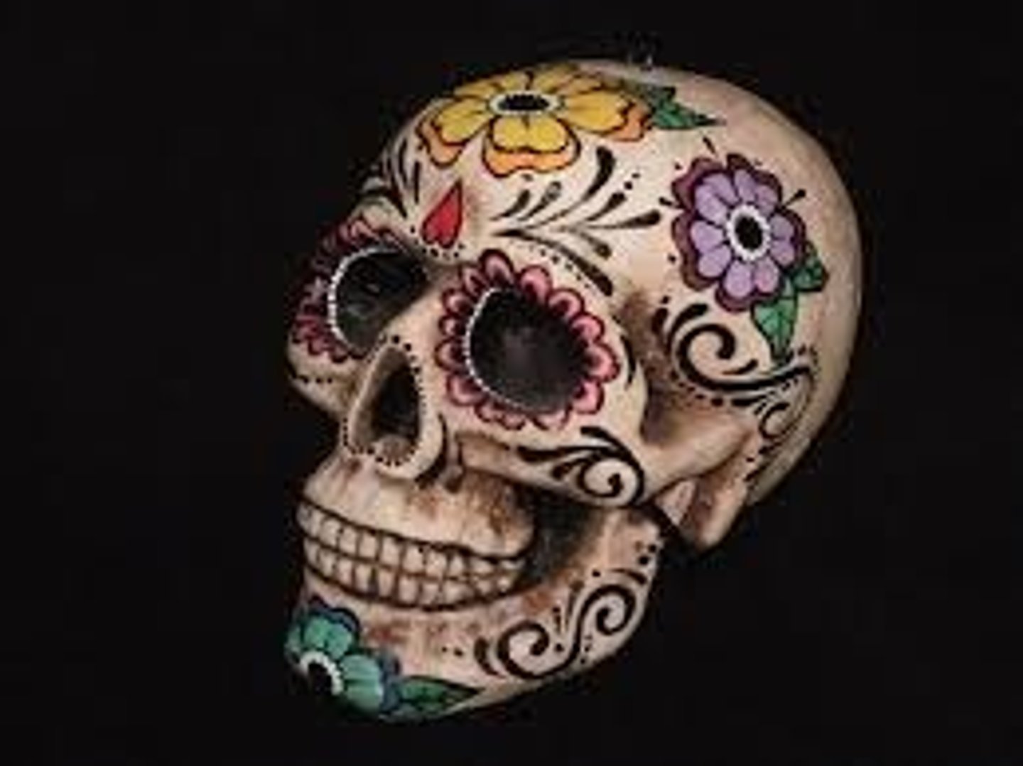 <p>der Totenkopf</p>