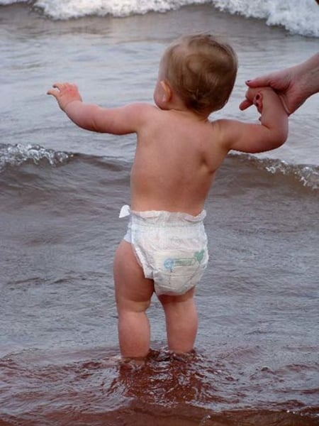 <p>fluid intelligence</p>