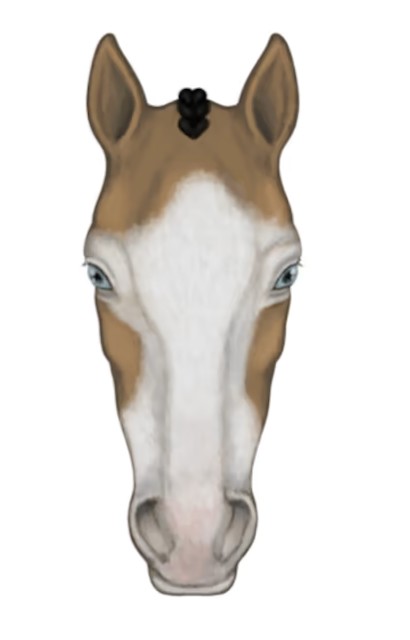 <p><span style="background-color: transparent;">White goes over the eyes</span></p>