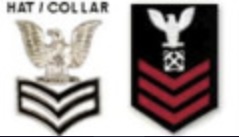<p>Perched Eagle, Specialty Mark, 3 Chevrons</p>