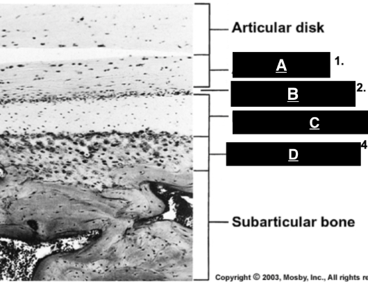 <p>identify B </p>