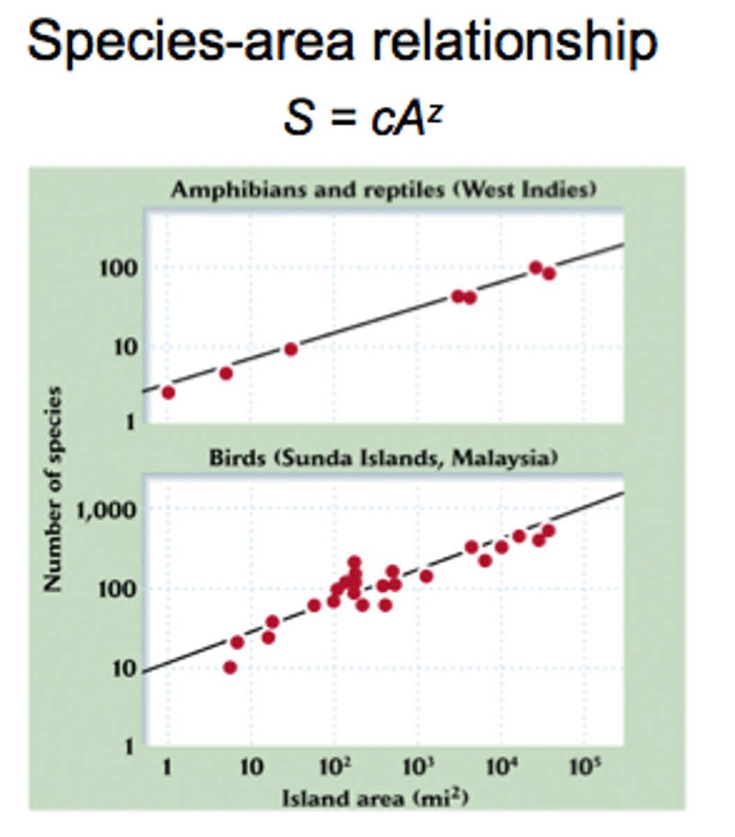 <p>richness inc. with area sampled, S = zA + c which means linear relationship, with steeper slopes indicating a greater difference in species richness among the sampling areas</p>