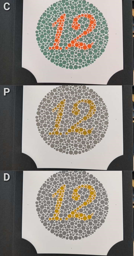 Top image: normal (C).

Middle image: protanope (P).
 
Lower image: deuteranope (D).

