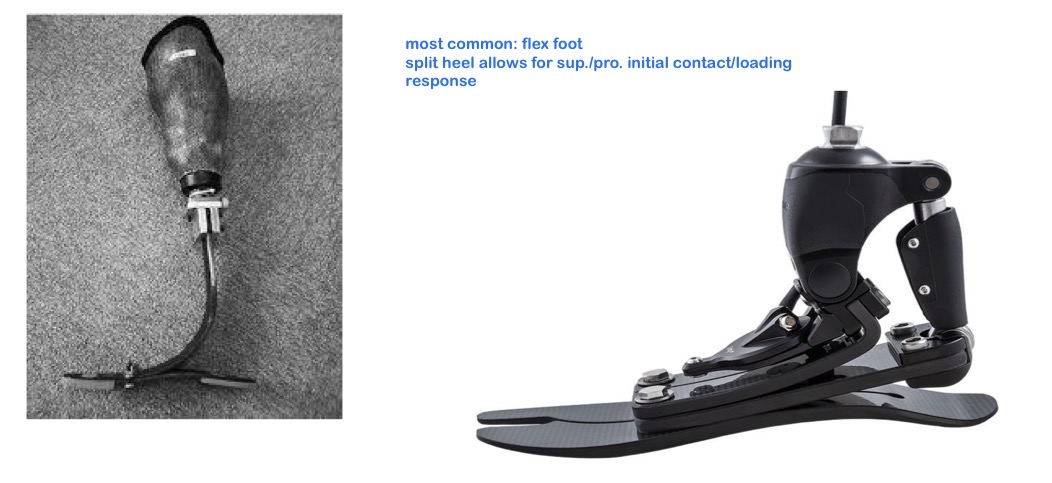 <p>-for energy storing or dynamic response feet</p><p>-returns energy during 3rd rocker (forefoot)</p>