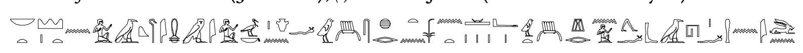 term image