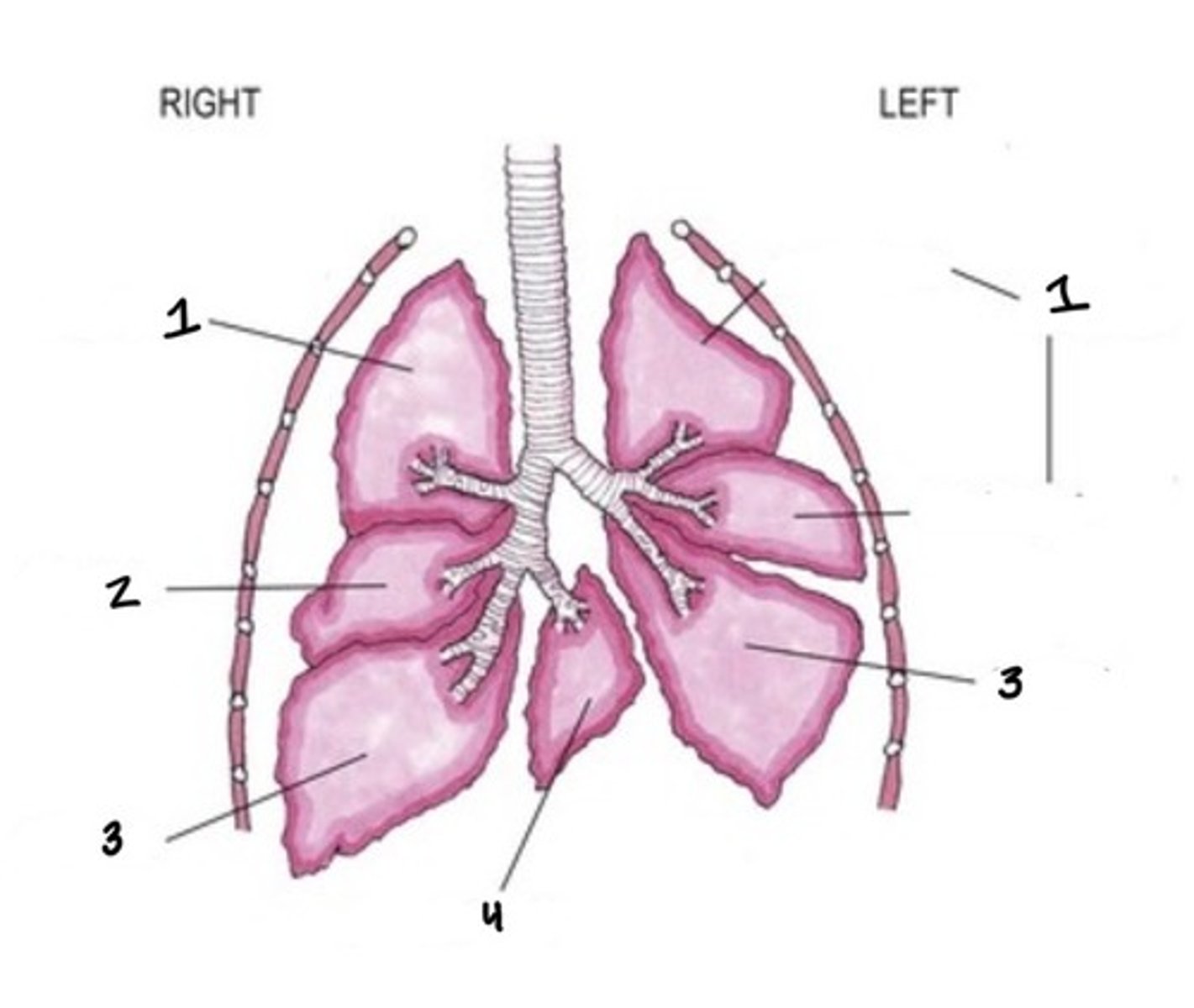 <p>4</p>