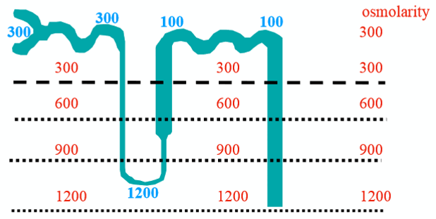 <p>can we make the blue 1200 any higher</p>