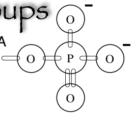 <ul><li><p>found in ATP, DNA and RNA</p></li></ul>
