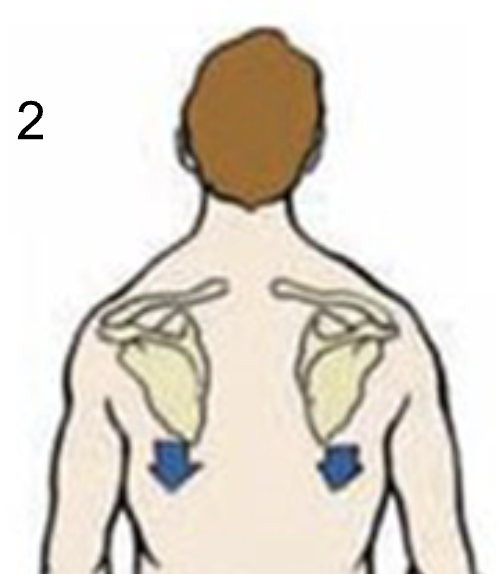<p>Identify what type of position this is</p>